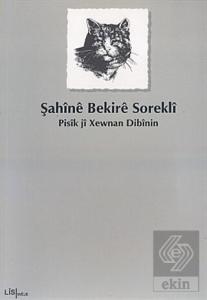 Pisik ji Xewnan Dibinin