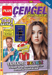 Plus Çengel Bulmaca 12