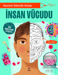 Resimli Etkinlik Kitabı - İnsan Vücudu