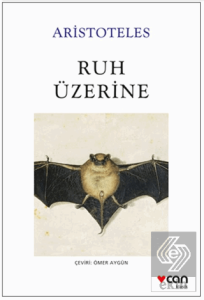Ruh Üzerine