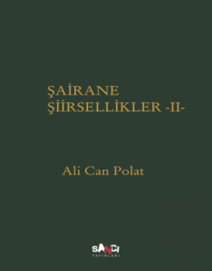 Şairane Şiirsellike - 2