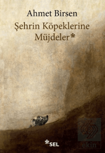 Şehrin Köpeklerine Müjdeler