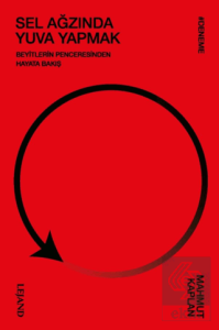 Sel Ağzında Yuva Yapmak