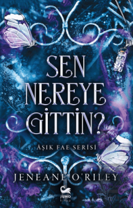 Sen Nereye Gittin?