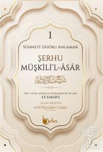 Şerhu Müşkili'l-Asar 1