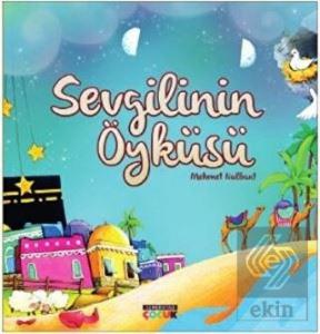 Sevgilinin Öyküsü
