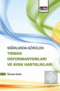Sığırlarda Görülen Tırnak Deformasyonları ve Ayak Hastalıkları