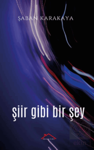 Şiir Gibi Bir Şey