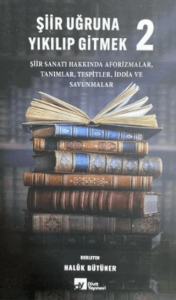 Şiir Uğruna Yıkılıp Gitmek 2
