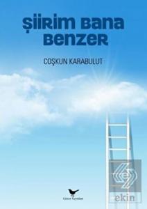 Şiirim Bana Benzer