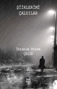 Şiirlerimi Çaldılar