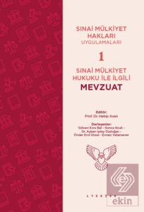 Sınai Mülkiyet Hukuku ile İlgili Mevzuat