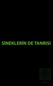 Sineklerin de Tanrısı