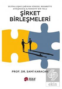 Şirket Birleşmeleri