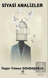 Siyasi Analizler
