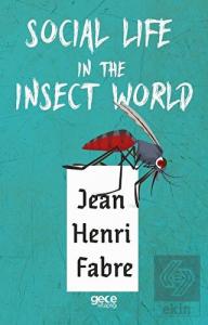 Social Life in The Insect World