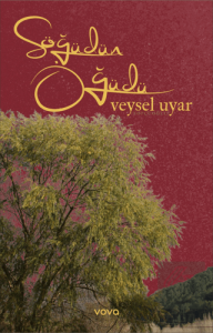 Söğüdün Öğüdü