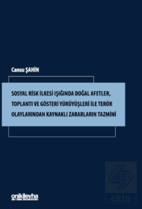 Sosyal Risk İlkesi Işığında Doğal Afetler, Toplantı ve Gösteri Yürüyüşleri ile Terör Olaylarından Kaynaklı Zararların Tazmini