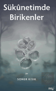 Sükunetimde Birikenler