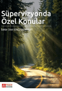 Süpervizyonda Özel Konular