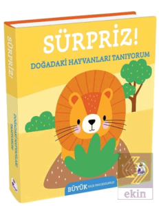 Sürpriz! – Doğadaki Hayvanları Tanıyorum