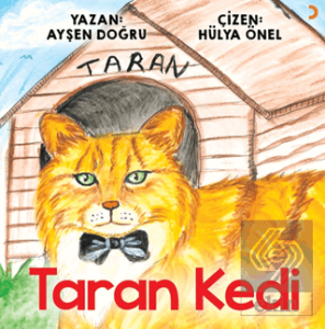 Taran Kedi