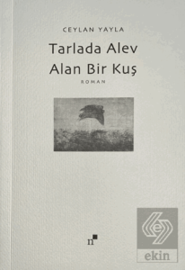 Tarlada Alev Alan Bir Kuş
