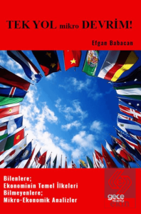 Tek Yol Mikro Devrim