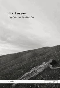 Toyluk Mahsullerim