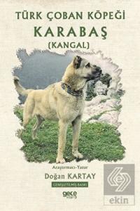Türk Çoban Köpeği Karabaş (Kangal)