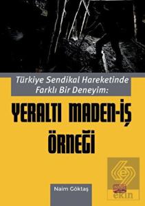 Türkiye Sendikal Hareketinde Farklı Bir Deneyim: Y