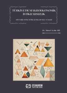 Türkiye'de Makroekonomik İstikrarsızlık Dinamik Stokastik Genel Denge Analizi