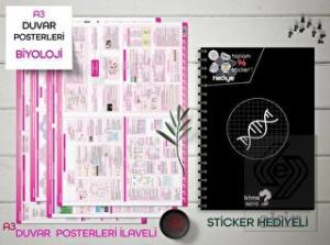 TYT Kareli Biyoloji Okul Defteri Konu Anlatımlı 4 