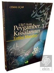 Ulü'l Azm Peygamber Kıssalarının Enfüsi Manaları