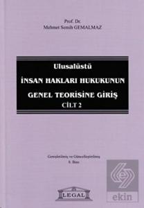 Ulusalüstü İnsan Hakları Hukukunun Genel Teorisine