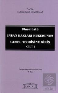 Ulusalüstü İnsan Hakları Hukukunun Genel Teorisine