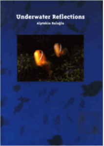 Underwater Reflections