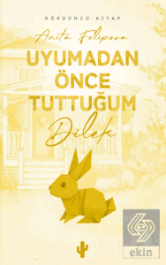 Uyumadan Önce Tuttuğum Dilek 4