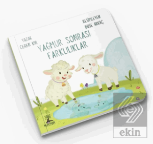 Yağmur Sonrası Farklılıklar