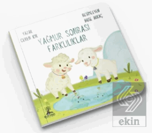Yağmur Sonrası Farklılıklar