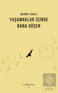Yaşamaklar İçinde Bana Düşen