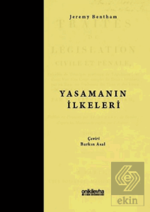 Yasamanın İlkeleri