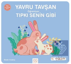 Yavru Tavşan Öğreniyor Tıpkı Senin Gibi