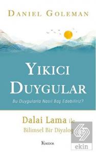 Yıkıcı Duygular