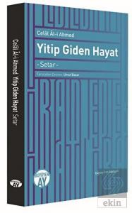 Yitip Giden Hayat