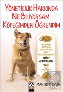Yöneticilik Hakkında Ne Biliyorsam Köpeğimden Öğre
