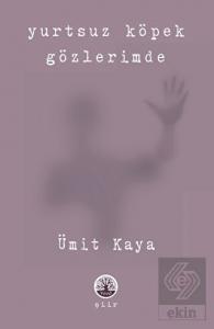 Yurtsuz Köpek Gözlerimde