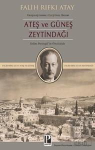 Zeytindağı Ateş ve Güneş (Karşılaştırmalı Eleştire