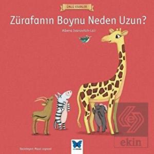 Zürafanın Boynu Neden Uzun?
