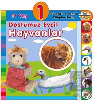 1+ Yaş Dostumuz Evcil Hayvanlar